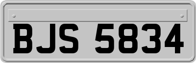 BJS5834