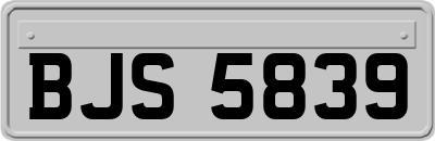 BJS5839
