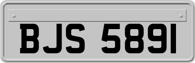 BJS5891