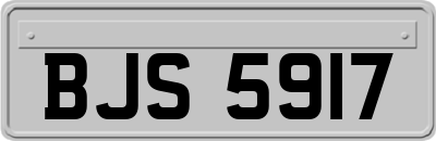 BJS5917