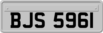 BJS5961