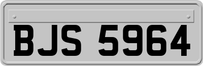BJS5964