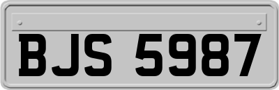 BJS5987