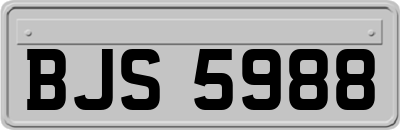 BJS5988