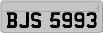 BJS5993