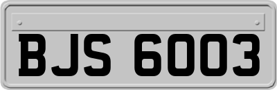 BJS6003