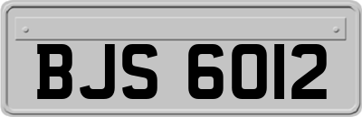 BJS6012