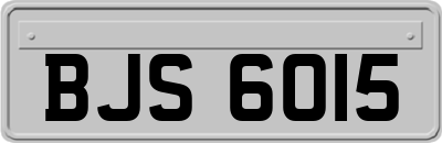 BJS6015
