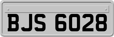 BJS6028