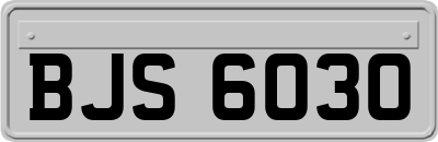 BJS6030