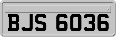 BJS6036