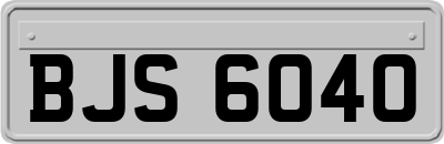 BJS6040