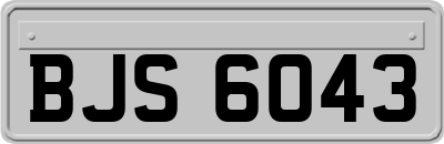 BJS6043