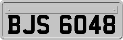 BJS6048