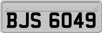 BJS6049