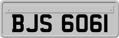 BJS6061