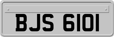 BJS6101
