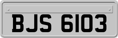BJS6103