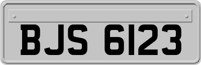 BJS6123