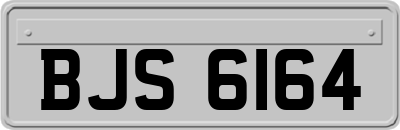 BJS6164