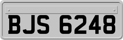 BJS6248