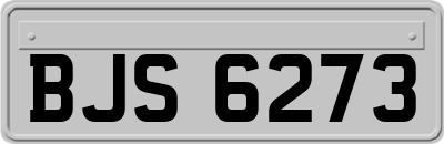 BJS6273