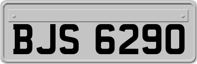BJS6290