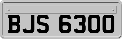 BJS6300
