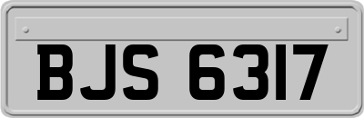 BJS6317