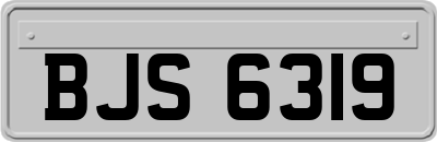 BJS6319