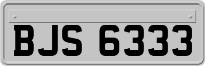 BJS6333