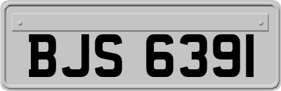 BJS6391
