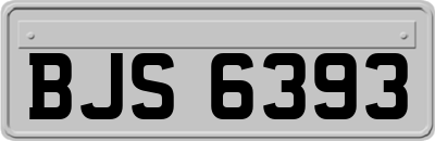 BJS6393