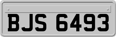 BJS6493