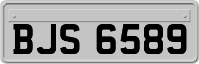 BJS6589