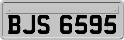 BJS6595