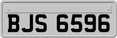 BJS6596