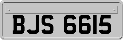 BJS6615