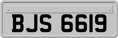 BJS6619