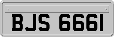 BJS6661