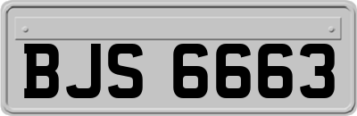 BJS6663