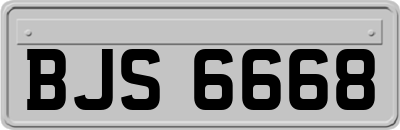 BJS6668
