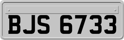 BJS6733