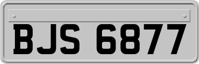 BJS6877