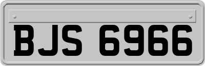 BJS6966