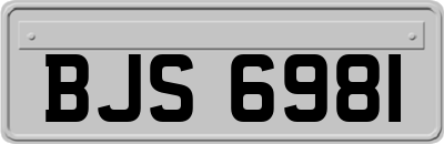 BJS6981