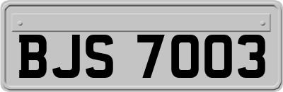 BJS7003