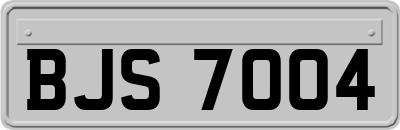 BJS7004