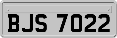 BJS7022