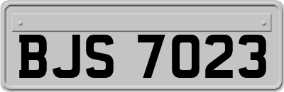 BJS7023